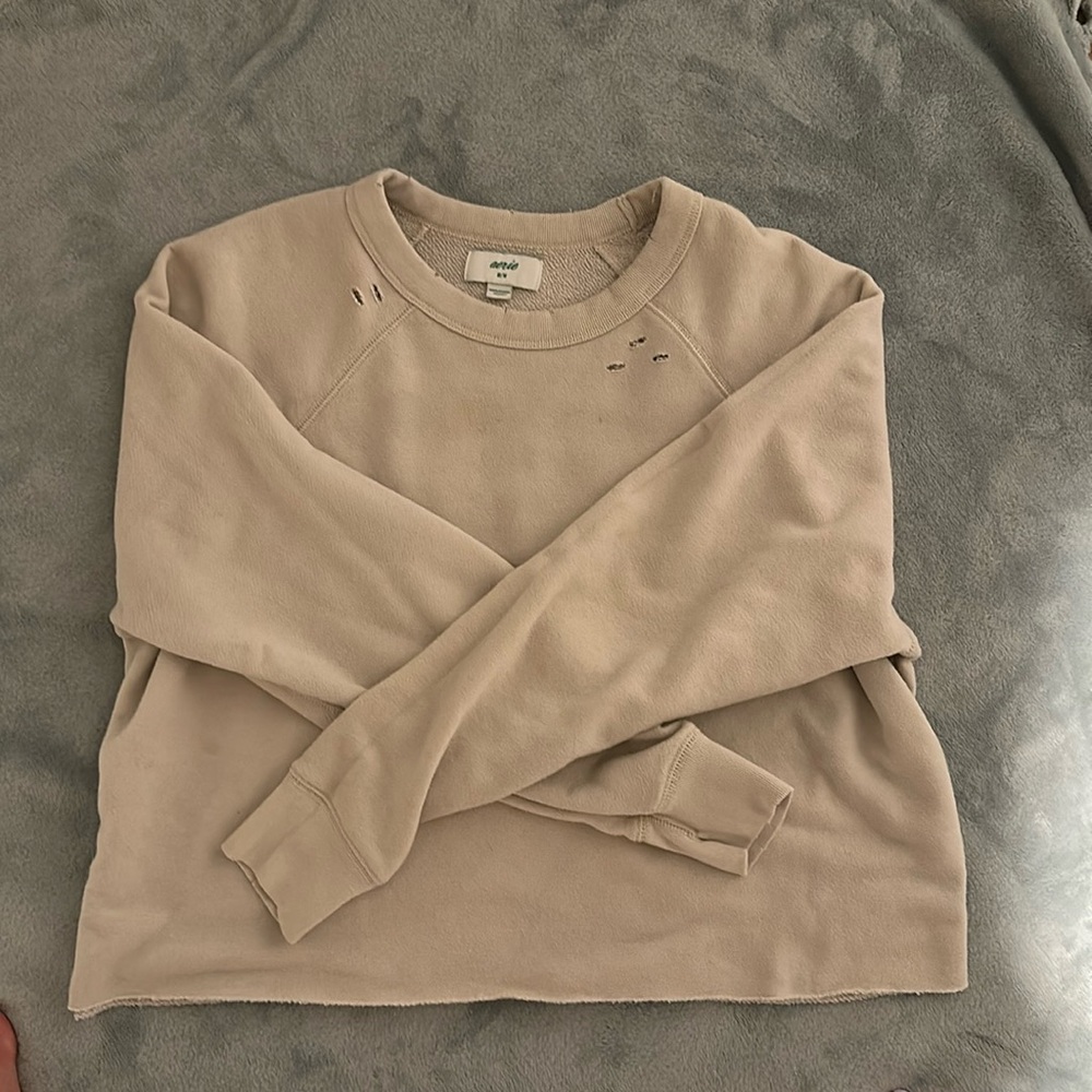 Aerie Distressed Cropped Crewneck